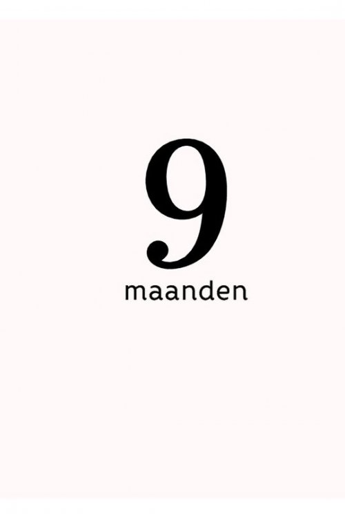 9789060388389 Negen maanden inkijk-0.jpg