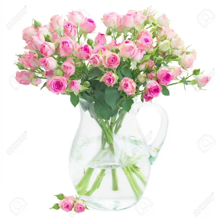 1466967774_76460396-boeket-van-kleine-roze-wilde-rozen-in-glasvaas-die-op-witte-achtergrond-wordt-gesoleerd.thumb.webp.76e172eb0463f3818ceac4f22ba01f55.webp