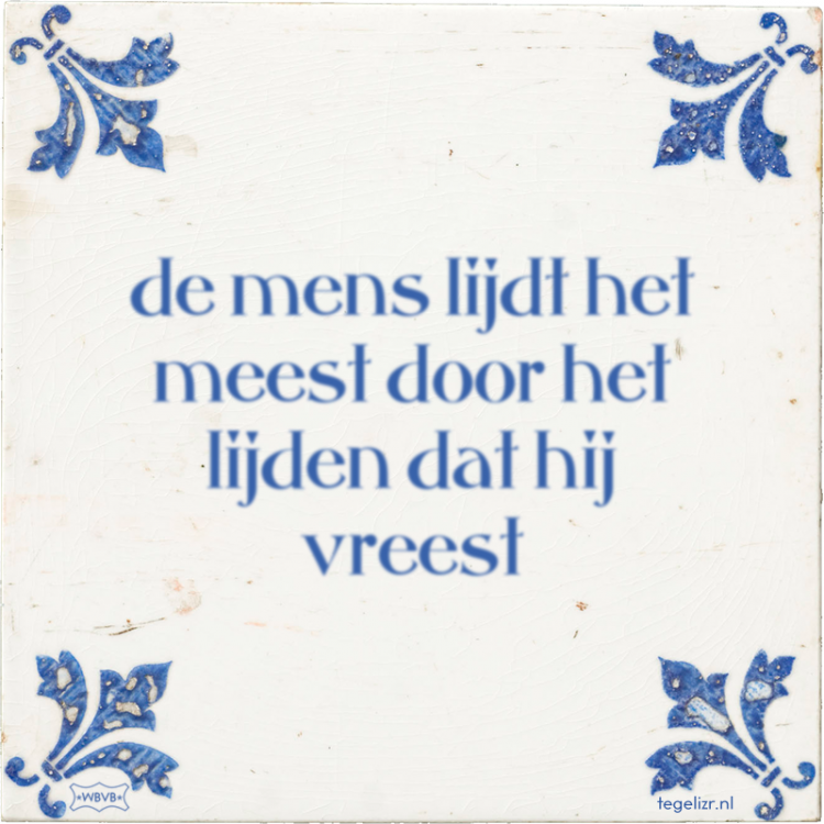 IMG_8436.png