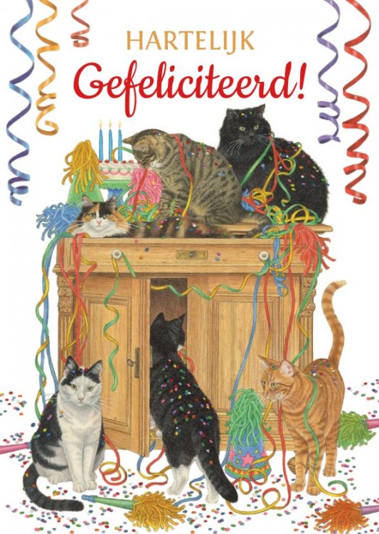 felicitatiekaart-met-feestvierende-katten.jpg